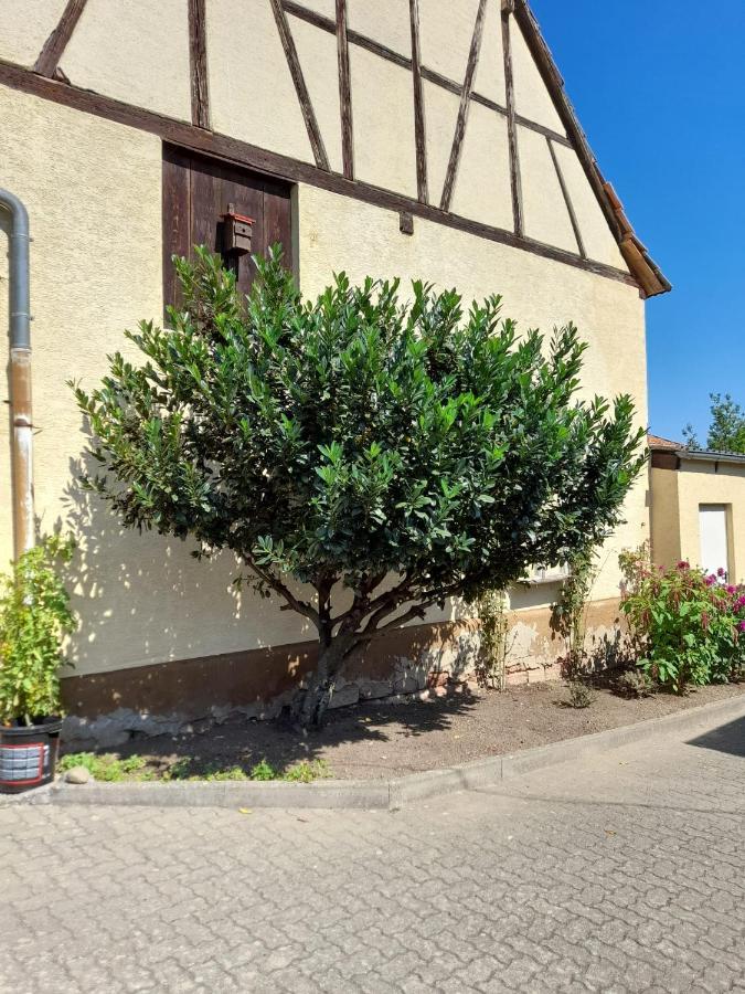 Oberhausen  Ferienwohnung "Zum Alten Kuhstall" מראה חיצוני תמונה